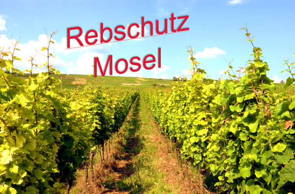 Rebschutz Mosel